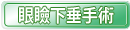 眼瞼下垂手術
