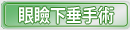 眼瞼下垂手術